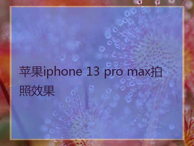 苹果iphone 13 pro max拍照效果