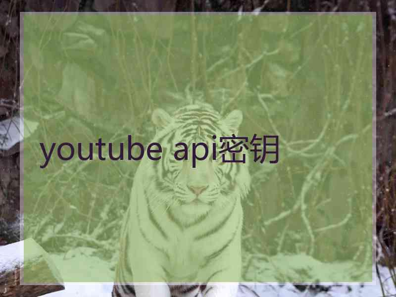 youtube api密钥