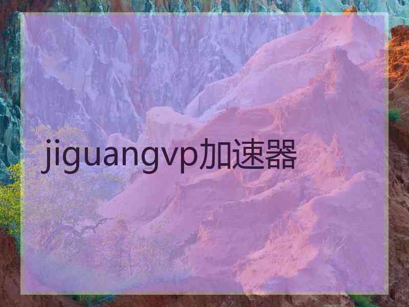 jiguangvp加速器