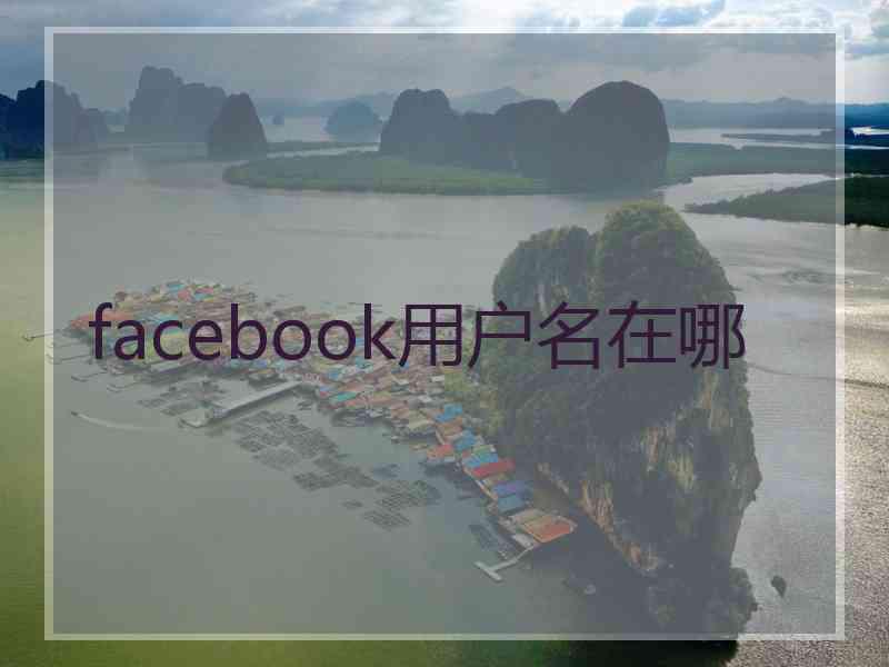 facebook用户名在哪