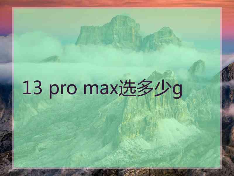 13 pro max选多少g