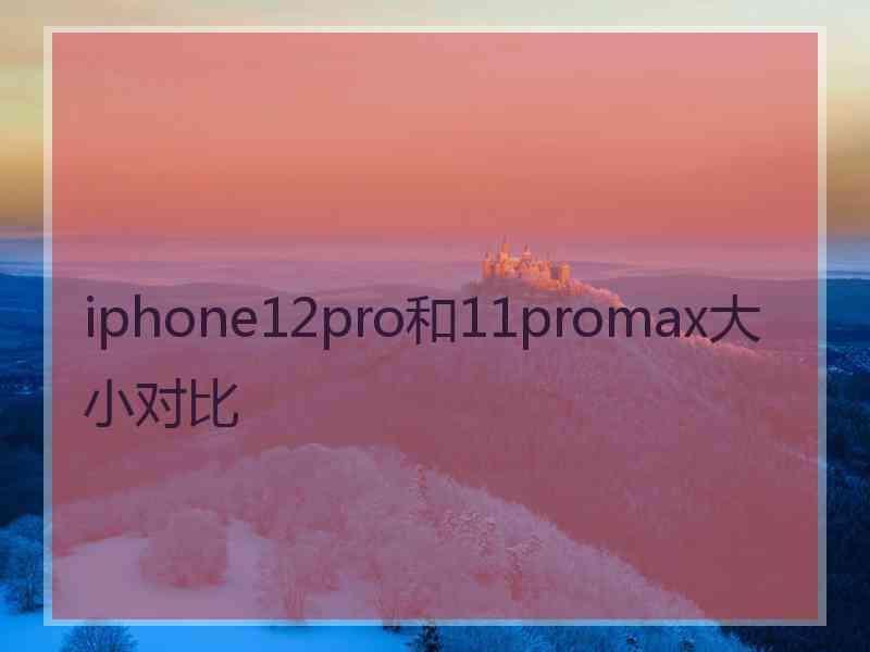 iphone12pro和11promax大小对比