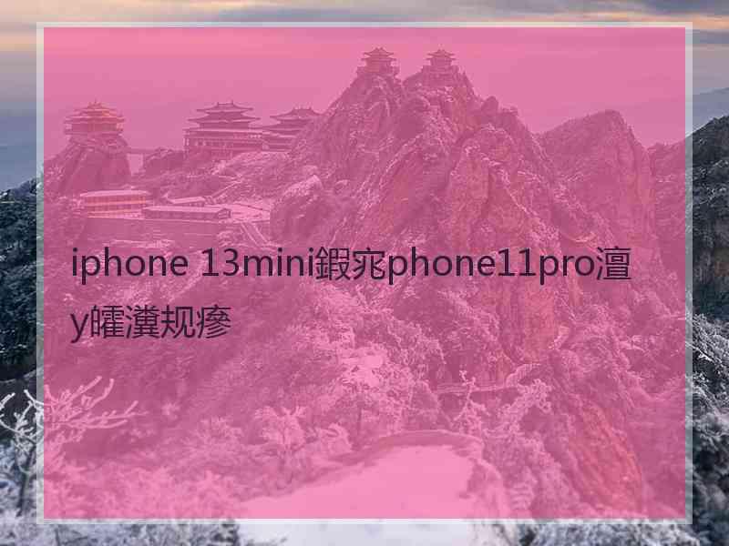 iphone 13mini鍜宨phone11pro澶у皬瀵规瘮