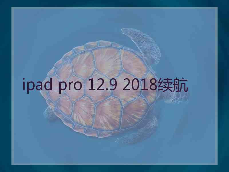 ipad pro 12.9 2018续航