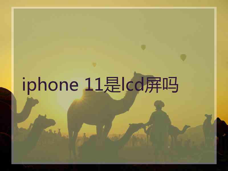 iphone 11是lcd屏吗