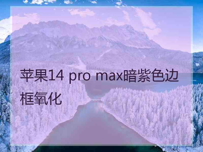 苹果14 pro max暗紫色边框氧化