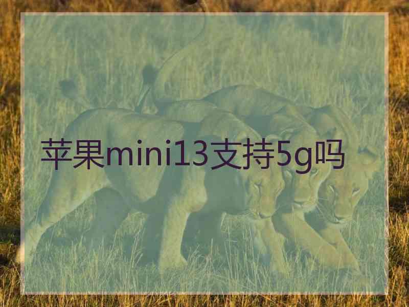 苹果mini13支持5g吗