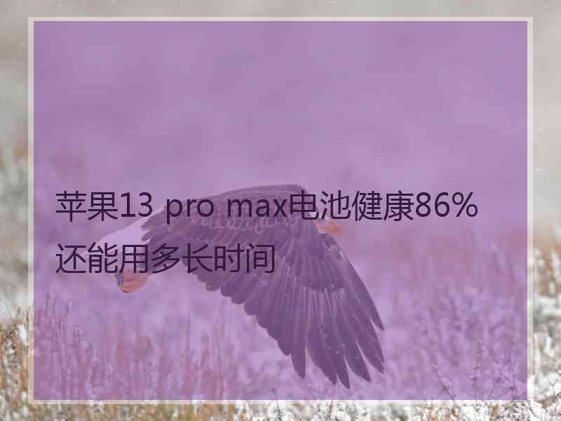 苹果13 pro max电池健康86%还能用多长时间