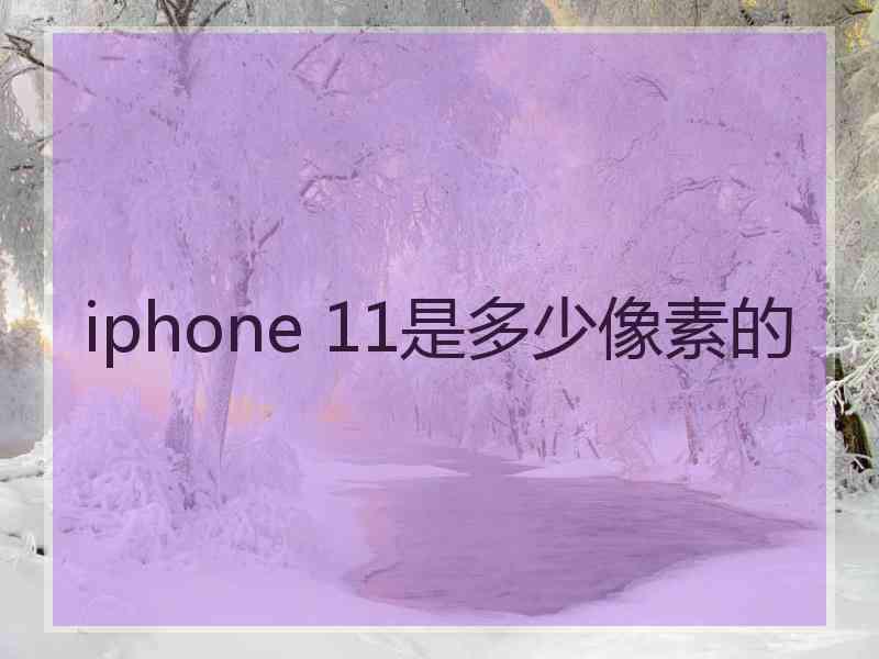 iphone 11是多少像素的