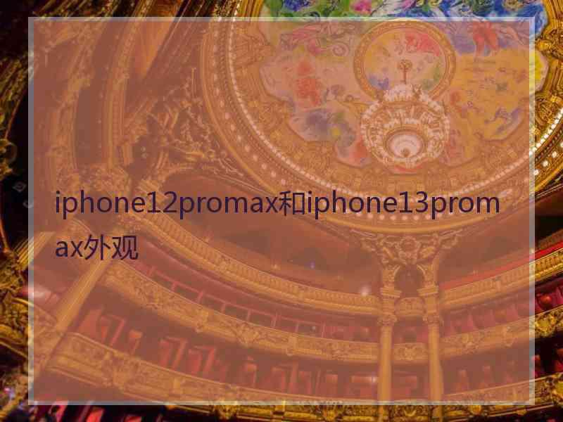 iphone12promax和iphone13promax外观