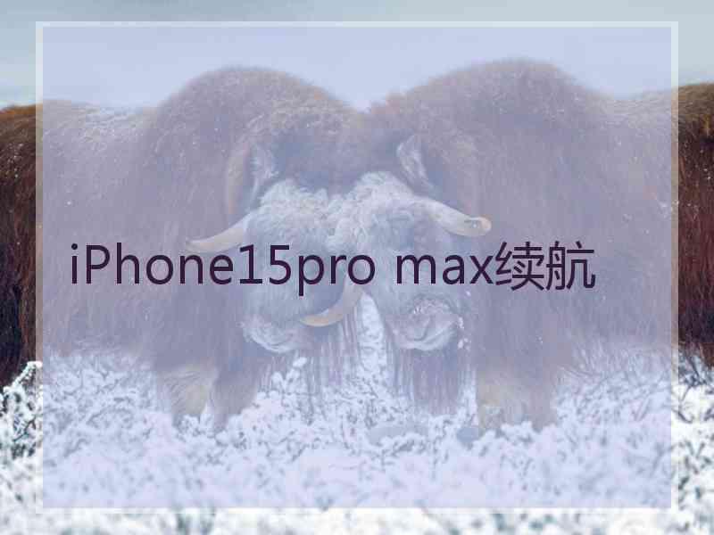 iPhone15pro max续航