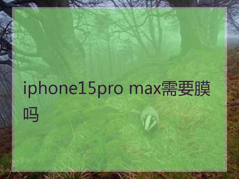 iphone15pro max需要膜吗