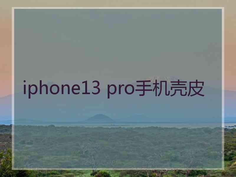 iphone13 pro手机壳皮