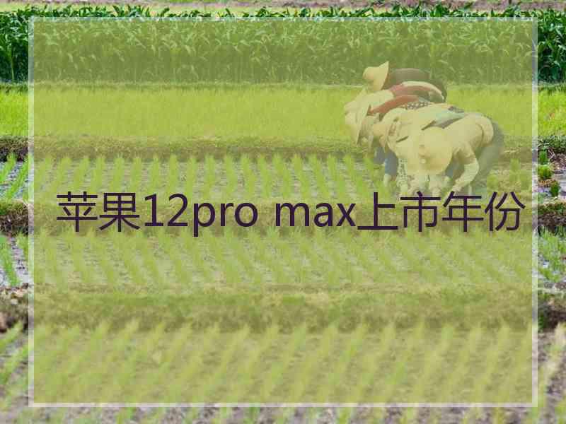 苹果12pro max上市年份