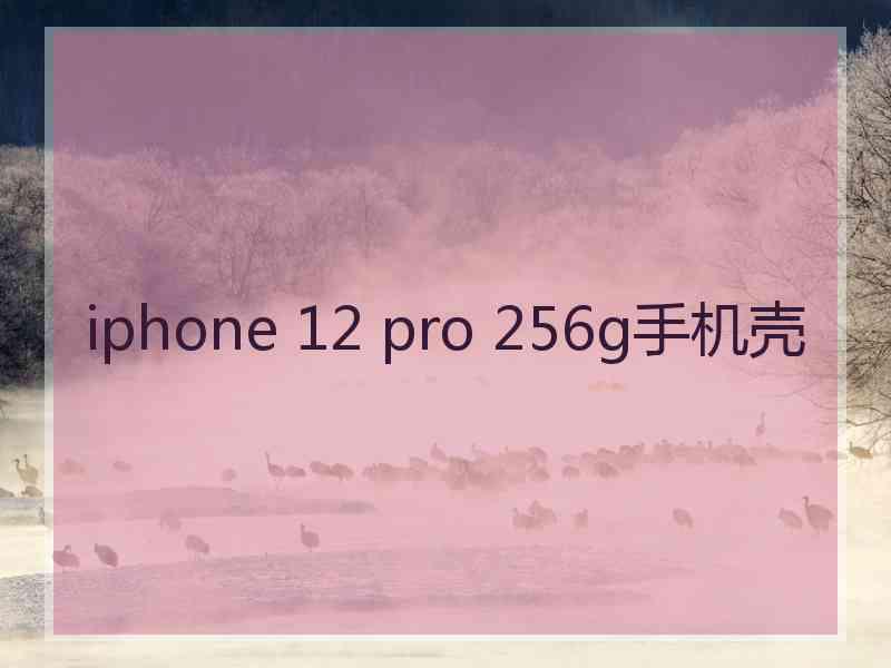 iphone 12 pro 256g手机壳