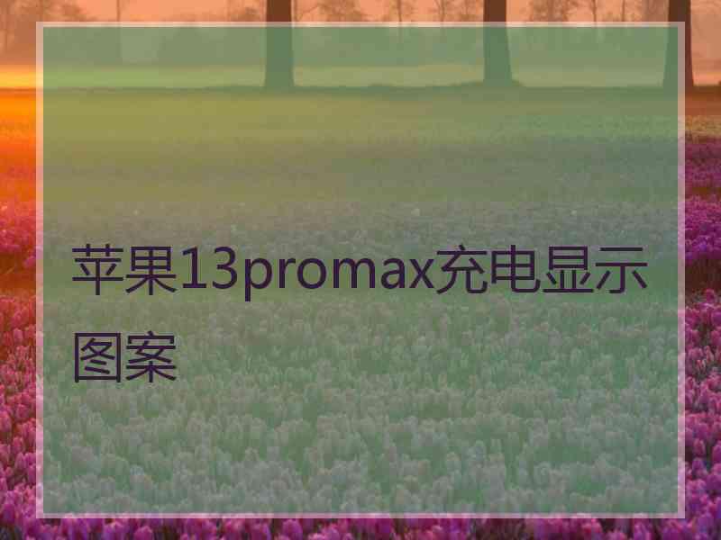 苹果13promax充电显示图案