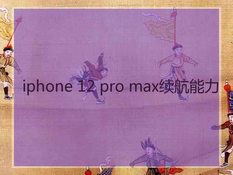 iphone 12 pro max续航能力