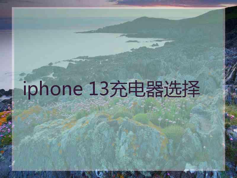 iphone 13充电器选择