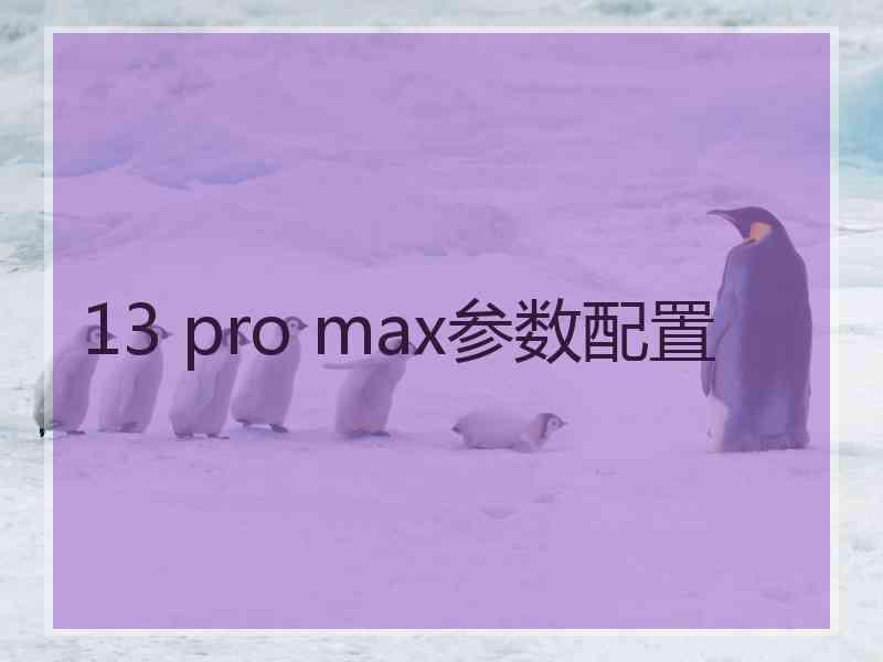 13 pro max参数配置