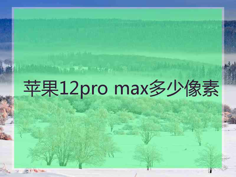 苹果12pro max多少像素