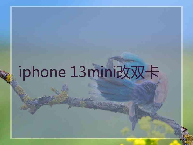 iphone 13mini改双卡