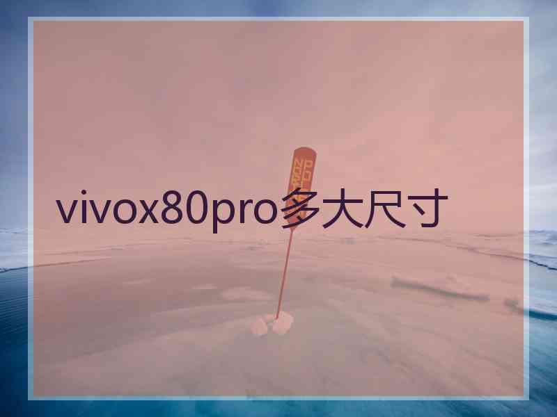 vivox80pro多大尺寸