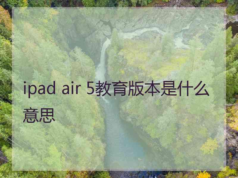 ipad air 5教育版本是什么意思