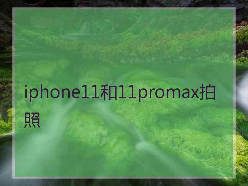 iphone11和11promax拍照