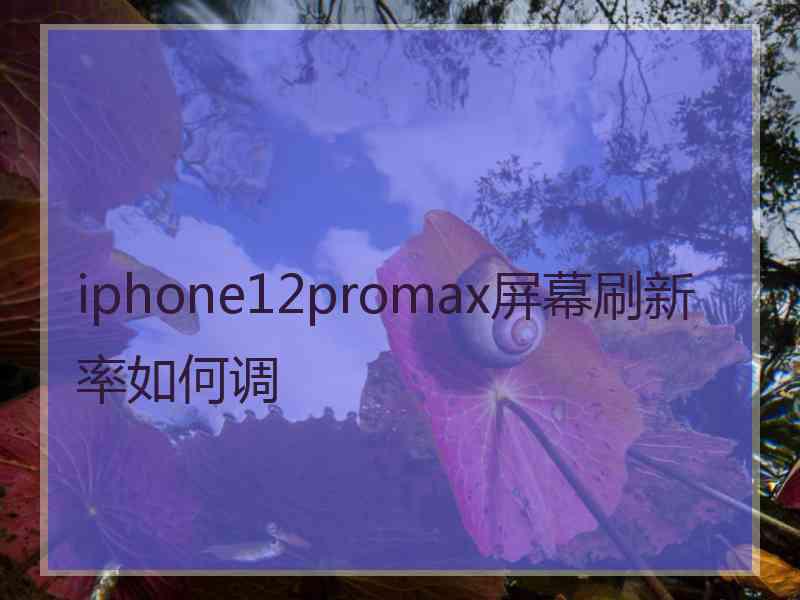 iphone12promax屏幕刷新率如何调