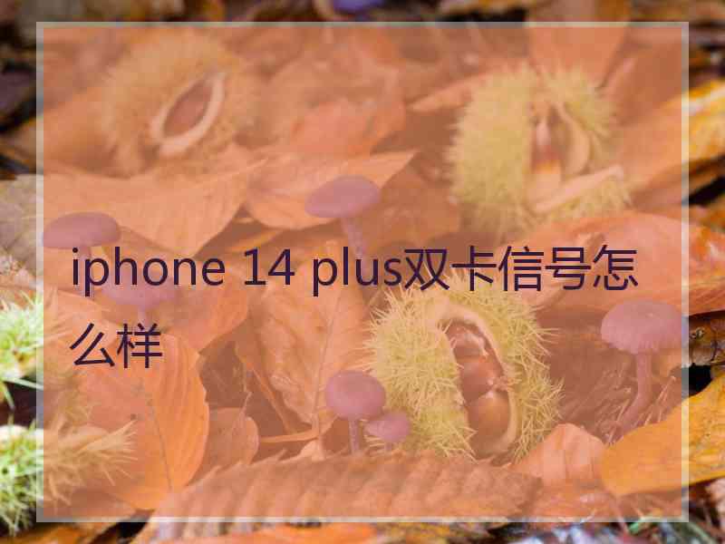 iphone 14 plus双卡信号怎么样