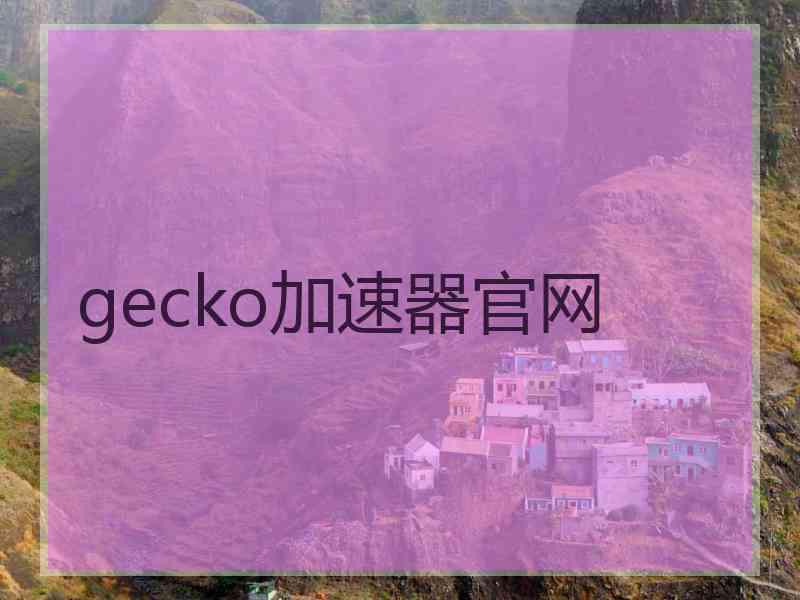 gecko加速器官网