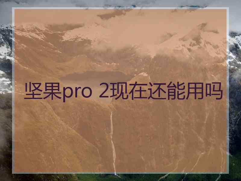 坚果pro 2现在还能用吗