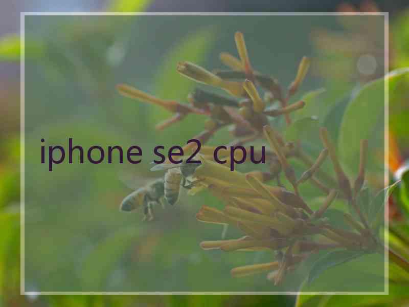 iphone se2 cpu