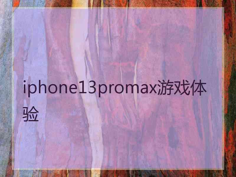 iphone13promax游戏体验