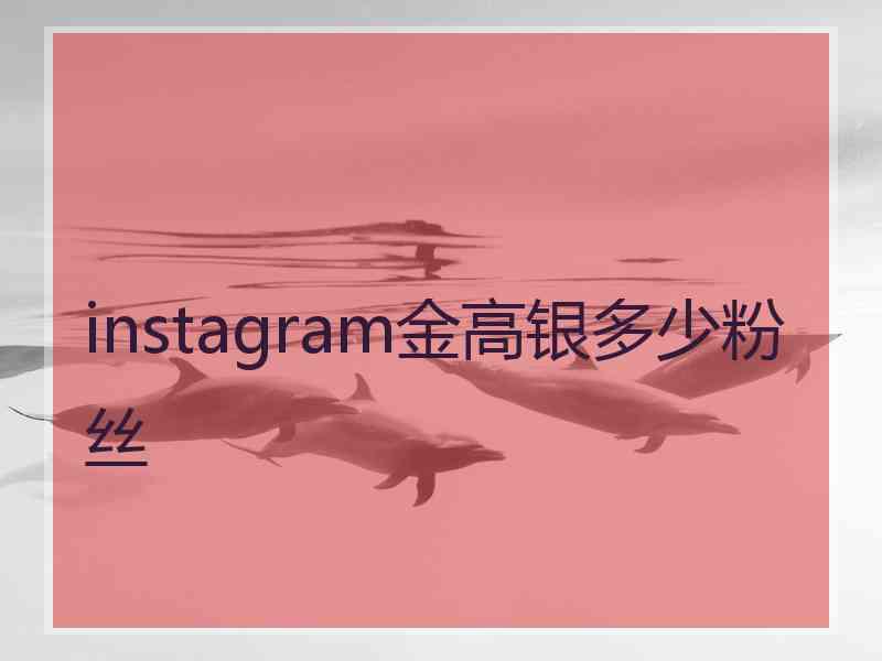 instagram金高银多少粉丝