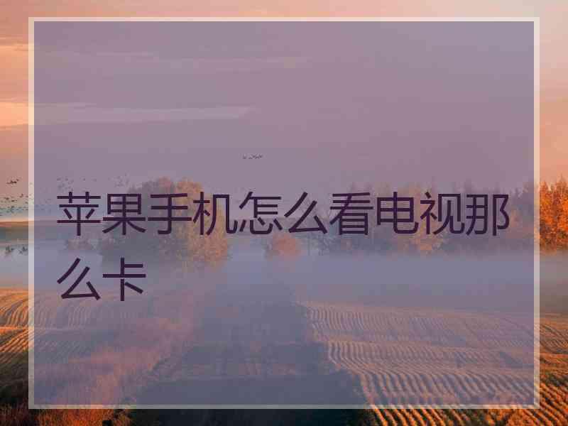 苹果手机怎么看电视那么卡