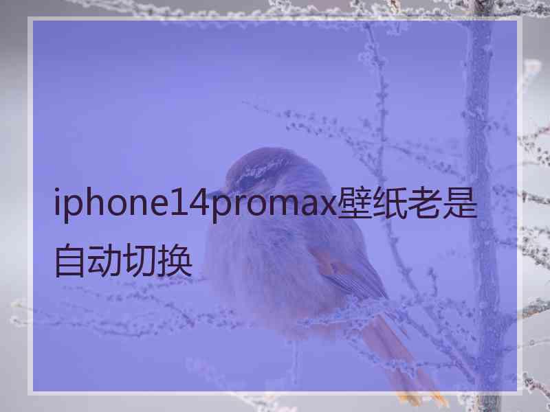 iphone14promax壁纸老是自动切换