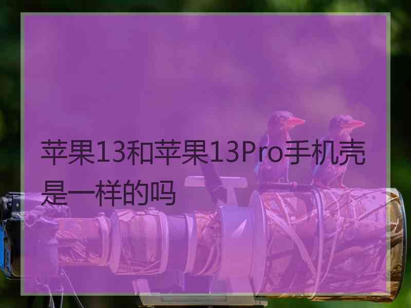 苹果13和苹果13Pro手机壳是一样的吗