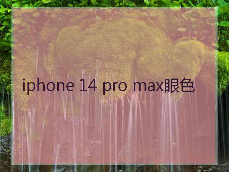 iphone 14 pro max眼色