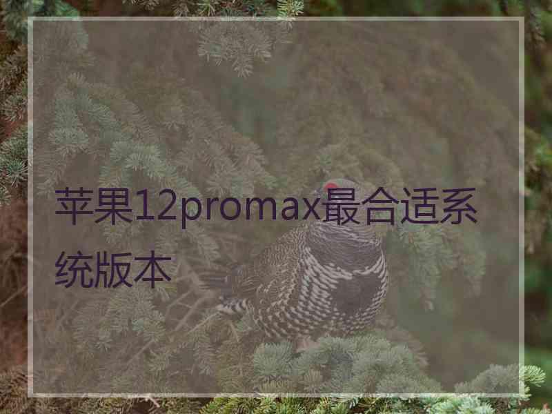 苹果12promax最合适系统版本