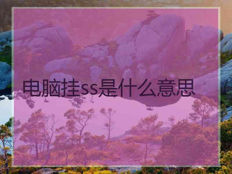 电脑挂ss是什么意思