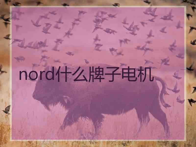 nord什么牌子电机