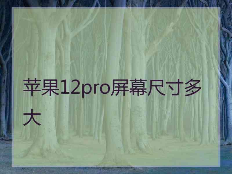 苹果12pro屏幕尺寸多大