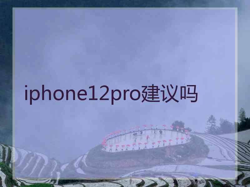 iphone12pro建议吗