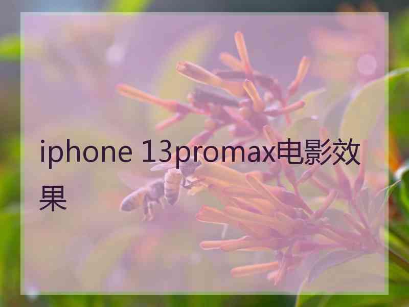 iphone 13promax电影效果