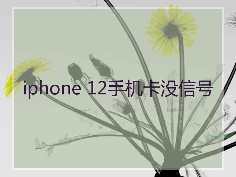 iphone 12手机卡没信号