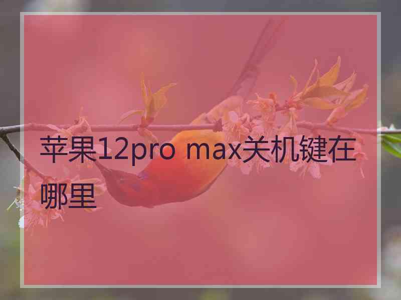 苹果12pro max关机键在哪里