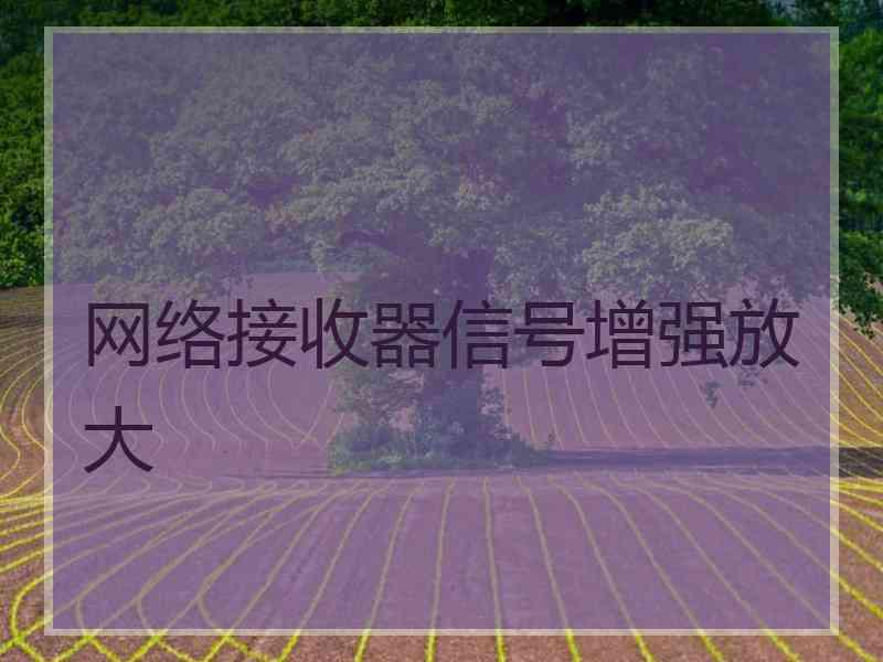 网络接收器信号增强放大