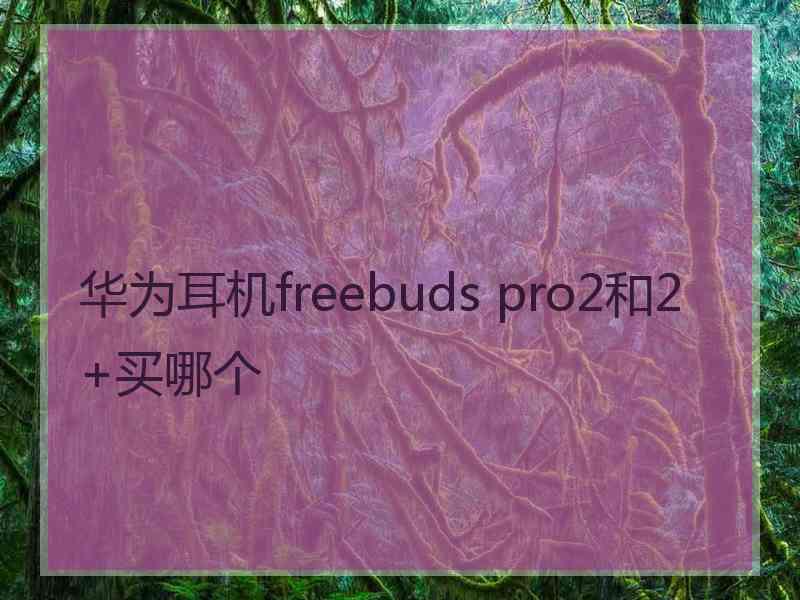 华为耳机freebuds pro2和2+买哪个