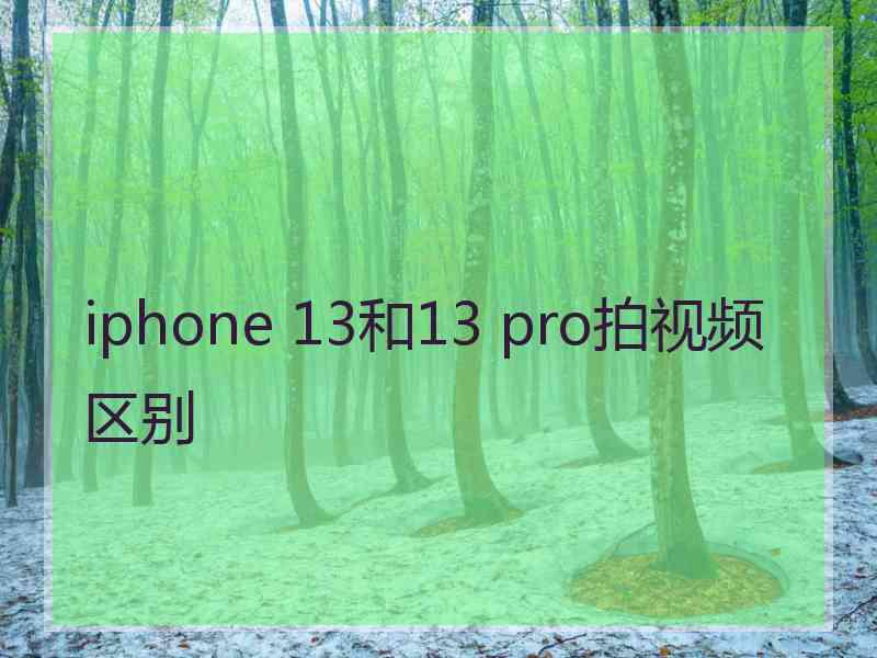 iphone 13和13 pro拍视频区别